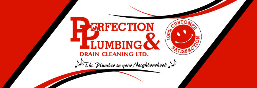 Perfection Plumbing & Drain Cleaning Ltd.